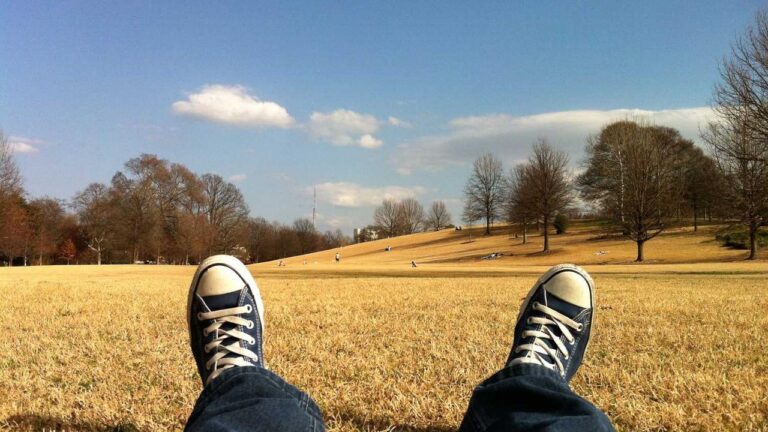 Is Cricbet 99 Com A Real Website Or Scam?