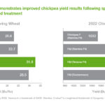 Understanding Reddy Anna ID: Features, Benefits, and How to Enroll